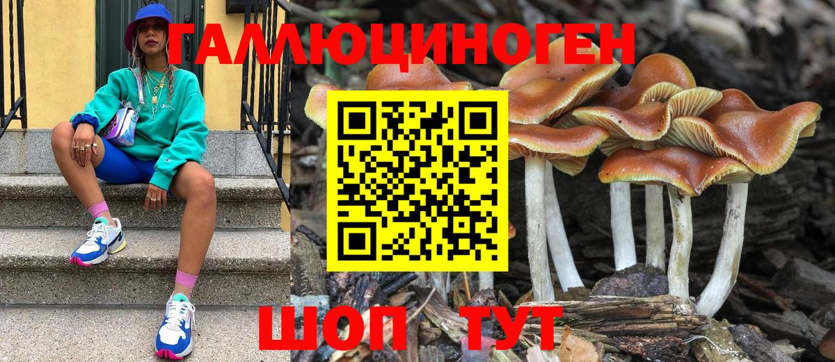 Галлюциногенные грибы мухоморы Сердобск